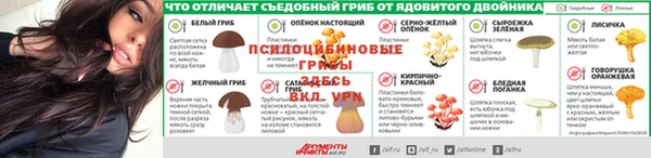 кокаин колумбия Болотное