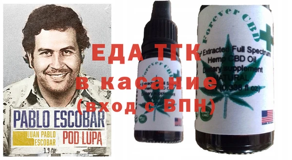 стафф Осинники