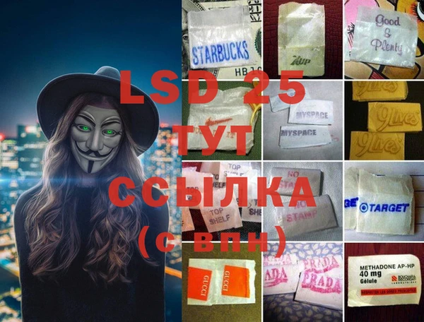 стафф Осинники
