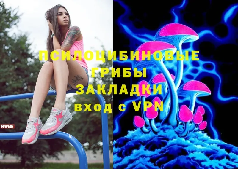 Галлюциногенные грибы Psilocybe  Харовск 